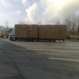  Foin De Prairie Paille - aliments pour animaux bonjour,  dispose de foin de prairie et paille de 2014 de bonne qualité,  big 120/70/250 et 120/90/250. poids 400 et 500kg. 80euros/tonne livraison incluse pour italie.