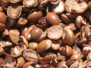  Coque D'argan Et Coque D'amande. - energie renouvelable je mets à votre disposition une grande quantité de coque d'argan et coque d'amande dans des sacs ou en vrac selon le choix.--merci de nous contacter--