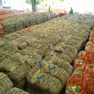  Ognon Et Pommes De Terre - fruits et légumes nous sommes une entreprise de commercialisation  bas&eacute; en cote d'ivoire notamment a abidjan.sp&eacute;cialis&eacute;e et exp&eacute;riment&eacute;e nous &eacute;coulons facilement les produits agroalimentaire a notre disposition et collabore  avec des  importateurs.  producteurs d'ognon de tou