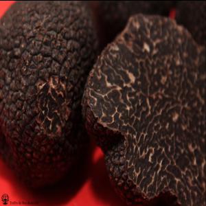  Truffes Noires Tuber Melanosporum, Origine France - champignon levure trufficulteur et négociant vend truffes noires tuber melanosporum,  origine sud-ouest de la france---- truffes noires entières fraiches de qualité. conditionnement sous-vide.--- morceaux,  conditionnement sous-vide--- brisure fraiche,  conditionnement sous-vide--- conserves- truffe