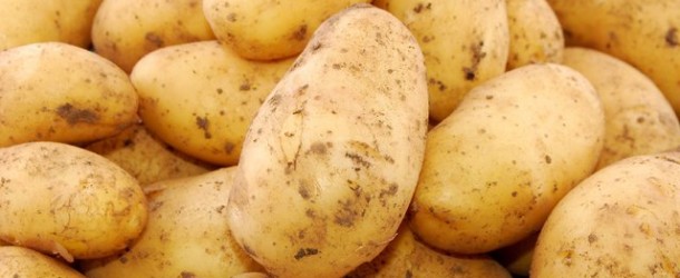  Pomme De Terre (marocaines) - fruits et légumes nous disposons de pomme de terre (nouvelle campagne) --variétés - spunta,  nicolas,  mondial--calibres - 17 à 55+. et conditionnement  15 kg et 25 kg voir plus--prix fob - 400 euro /tonne--