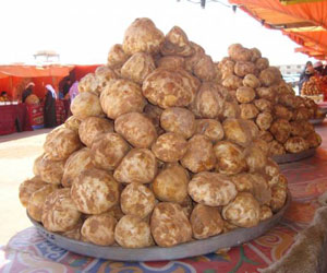  Truffes Beiges - champignon levure salut je suis d'algerie ,  je vends des truffes beiges ceuillées des steps ,  possibilité livraison en france de petites quantités 