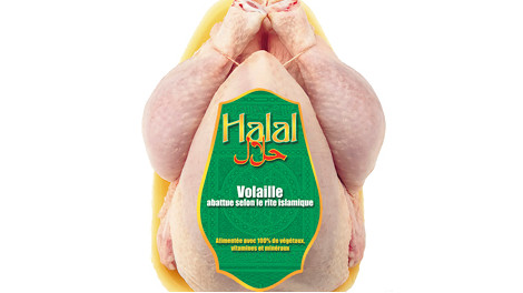  Poulet Halal Pour Export - viandes et oeufs poulet blanc calibre de 1600g a 2000g origine espagne certifi&eacute; halal --1/2 carcasse boeuf origine pologne --certifi&eacute; halal--pour plus de renseignement veuillez nous contacter