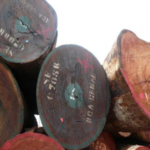  Lumber Tropical Et Le Bois Dur De L'afrique Pour - bois charbon fibre nous sommes une entreprise à domicile fournisseurs au cameroun et nous exportons du bois dur de nombreuses espèces les grumes et bois.--nous avons en stock les types de bois suivants tali,  zingana,  azobe,  sipo,  cosipo,  afromasia,  wenge,  mahogani, --bubinga,  iroko,  padouk,  sapelle,  okan, 