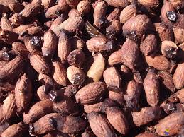  Noyaux D'olive - energie renouvelable bonjour, --on a plus de 4000 tonnes de noyaux d'olive,  qu'on souhaite mettre en vente.--on cherche des collaborateurs.--merci de prendre contacte avec nous--cordialement