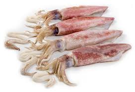  Calamar Frais Et Congelé - poissons bonsoir, --associé avec une usine de poisson frais et congelés,  je mets en vente plusieurs de tonnes de calamar congelé et frais.----on est ouvert à toute proposition et pret à négocier les prix.----dans l'attente de vous lire--merci d'avance--