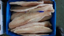  Mérou,pouce-pied,chinchard - poissons nous avons en stock tous ces produits,  les prix sont tres interessants me contacter .
