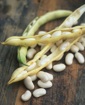  Desirant Avoir Dè Partenair Vent D'haricot Blanc - céréales recherche des partenaire pour la vente d'haricot blanc----recherche de partenaire --le vrais haricot blanc ( cassoulet )----salut pour toute personne, entreprise et autre d&eacute;sirant export&eacute; ou import&eacute; les produits cicontre bien vouloir me contacter . cherche acheteur potentiel ou p