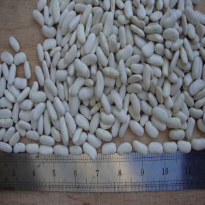  Urgent Recherche Des Clients Acheteur Potentiel - céréales nous disposons les produits cassoulet voir haricot blanc  en grande quantité à vendre à un prix négociable sur contrat--cherche acheteur potentiel ou partenaire pour exportation du ,  haricot blanc . restrictions - europe,  amerique,  asie et afrique  ------- restriction -da