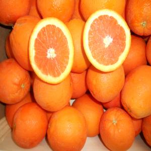  Clementine Nador Cot /afourar - fruits et légumes hello--we have 300 tons of nadorcot 'clementine and 450 tonnes of navel oranges available for export with very good quality and a very resonable price--thank you to contact us if you are interested