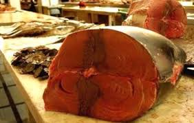  Thon De La Méditerranée - poissons on vous offre le meilleur thon de la m&eacute;diterran&eacute;e,  &agrave; l'huile v&eacute;g&eacute;tale et &agrave; l'huile d'olive selon votre go&ucirc;t.--notre engagement est de vous offrir un bon prix et des bons services.--n'h&eacute;sitez pas de nous contacter--