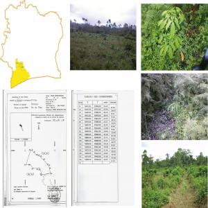  Terre Louer - mine terrain concession terre agricole de 23 ha,  idéal pour l’agriculture,  élevage,   en location annuelle renouvelable.--localisation - yabayo,  s/p soubré (côte d’ivoire)--
