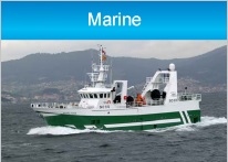 Export Fruit De Mer - poissons une jeune société tunisienne de très grande surface dans l'export de fruit de mer cherche une société partenaire ou bien des associées pour améliorer sa production. --nous sommes très sérieux.--nous avons une grande connaissance dans le 