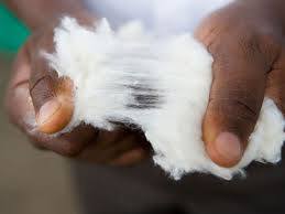  Vente De Coton - Industrie exploitation vente de 3000 tonnes renouvelable de coton mambo normal par vagues de 500 t.--cette quantité de 3000 tonnes pourrait connaitre une augmentation s’il y a un accroissement de la commande.--disponible,  livré au port d’abidjan cote d'ivoire.