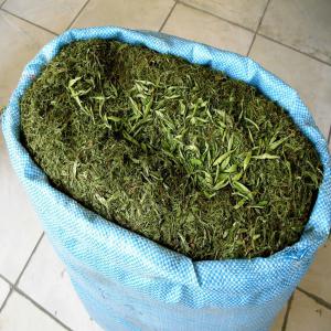  Vente De Feuilles De Stevia - produits sucrés feuilles de stevia a vendre (14 tonnes disponibles actuellement)--particulierement adapte a l industrie elles contiennent 10-12% de rebiosidose a.----prix tres interesant ----contactez nous