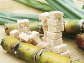  Canne Sucre Du Maroc - produits sucrés je mets en vente 25 tonnes de canne à sucre d'origine marocaine à prix intéressant. merci de me contacter pour plus d'information. 