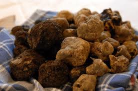  Truffes Rouge - fruits et légumes bonjour, ----on met en vente plusieurs tonnes de truffes blanches et rouge.--on cherche des acheteurs pour ce produit.--dans l'attente de vos messages--cordialement