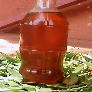  Huile De Neem - huiles l'huile de neem est aujourd'hui une huile utilisée en cosmétique. elle entre notamment dans la composition de crèmes,  shampooings anti-poux,  dentifrices,  lotions anti-moustiques,  soins anti-acné... notre huile est 100% naturel,  pur et pressé à froid ce qui f