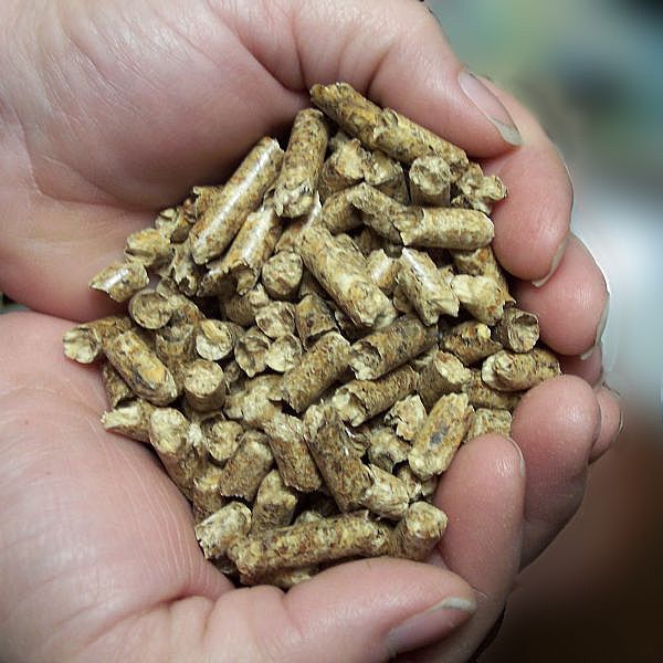  Wood Pellets Biogas - horticulture plante biocarburant wood pellets --est utiliser pour chauffer les immeubles de plus en plus commun due a la hausse du petrole. --