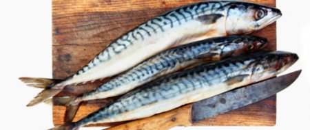  Maquereau - poissons nous disposons  de maquereau  et nous recherchons des clients pour  une excellente vente; le conditionnement est frigorifique adapté pour  des livraisons par voie maritime,  et ou aérienne. disponibilité illimitée 