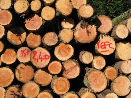  Bois De Fago Et En Poudre - bois charbon fibre je suis agriculteur de gros quantit&eacute; des bois et je dispose aussi des poudre de ses bois pour charbon et j invite le client dans mon pays avant commande .--je suis de l afrique  au benin . contactez nous .