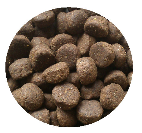  Nourriture Pour Chiens Et Chats - aliments pour animaux nous produisons des aliments d'haute qualité pour animaux domestiques- chiens,  chats,  oiseaux,  rongeurs ... n'hesitez pas de nous contacter pour avoir plus d'informations.