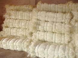  Fillas Pour Staf - matiere vegetale bonne jour societe en algerie cherche fourniseur fillas pour staf 1e choir emballe 200k 20tonne chac moi