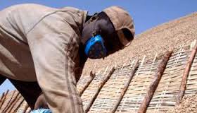  Vin Sénégal J'ai Un Stock D' Arachide - matières grasses vent un stock d'arachide au sénégal--une quantité de 3000 tonnes dont le pris dune tonnes est égale 385 euro il faut me contacte