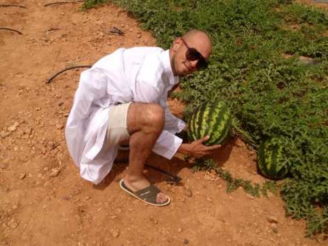  Moroccan Watermelon At Zagora - fruits et légumes we grow the best qualities of watermelon in morocco ,  our farms located in zagora city ,  we produce more than 50 hiktars every year ,  our product is going to be ready in 1 week ,  we can supply about 100000 tones of watermelon ,  the weight is between 7 - 20 kilo .