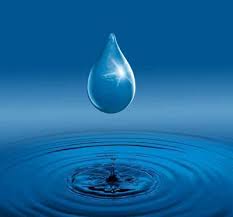  Eau Canadienne De Source Naturelle - boissons non alcolisée on vous offre une eau canadienne de source naturelle équilibrée en minéraux et naturellement sans sodium.--la bouteille est composée de 100% de plastique recyclé.--plusieurs certifications environnementales.--contactez nous avant l'arrivée de l'ét&eac