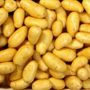  Pommes De Terre De Très Bonne Qualité - fruits et légumes nous disposons actuellement des grandes quantités de pommes de terre de très bonne qualité à l'export. pour les vraies importateurs veuillez nous contacter.--nb- offre valable encore pour une semaine. 