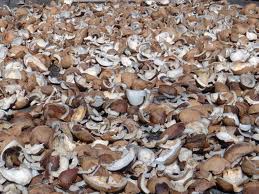  Coprah - matières grasses nous vous fournissons a partir de 10 t minimum --informations bon de commandes fermes; personnes non intéressées s'abstenir; livraisons dans des conditions prévues après signature du contrat; délivrance de certificats phytosanitaire,  d'origine,  conformité. 