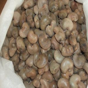  Noix D'acajou - fruits secs et graines grillées bonjour , -- nous disposons  d'une importante quantité et qualité de noix d'acajou non traité et stocké dans de bonnes conditions. conditionnement - sacs de 100 kg,  livre fob--prix - 785 € la tonne-- --quantité - 4500 tonnes