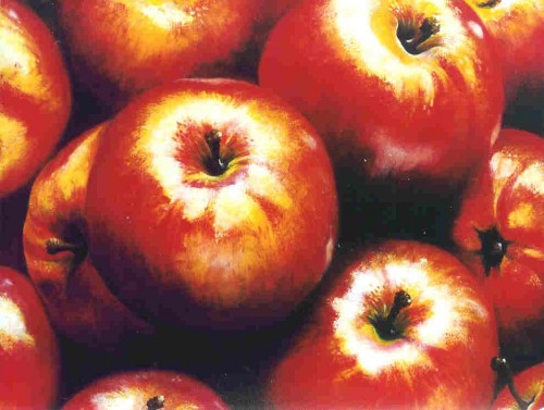  Pomme Origine Espagnol - fruits et légumes groupe de service vend divers fruits et legumes de votre choix actuellement nous vous proposons divers variettes de pomme par pallette ou caisse merci ----nb / contenaire de 20/40 pied prix fob/cif port dkr----emballage carton bushel ----variete golden/rauyal etc...----calibre divers 113/125/198----