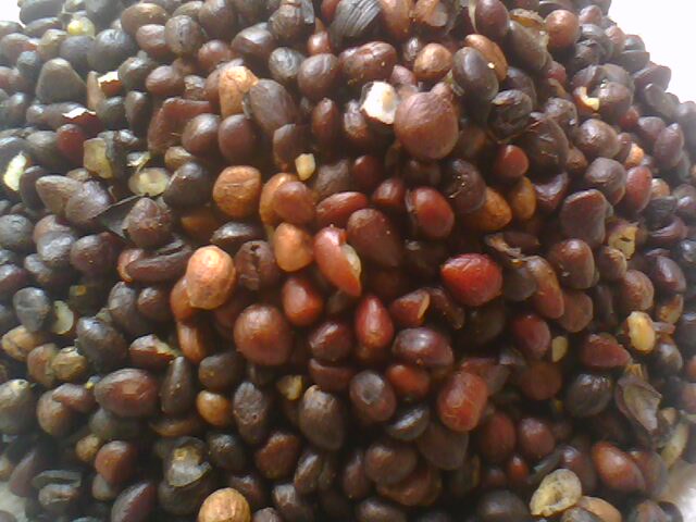  Amandes De Palmistes - matiere vegetale nous sommes en guin&eacute;e nous disposons une importante quantit&eacute; d'amandes de palmistes et nous cherchons un partenariat fiable et durable dans ce sectaire nous sommes disponible pour toutes personne int&eacute;ress&eacute;e merci 