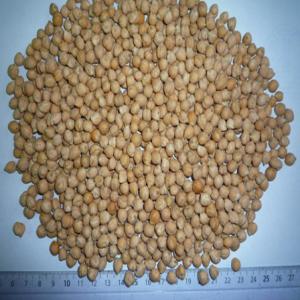  Pois Chiche - fruits et légumes nous vous proposons de pois chiches,  récolte 2013,  origine ukraine. --spécification de qualité - --humidité - 13% max--pureté - 99% min--graines brisées - 1% max--taille – 5-6-7 mm--concernant le prix,  après avoir reçu le lieu de livraison (por