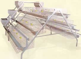  Cages Pour Poules Pondeuses - viandes et oeufs bonjour! nous cherchons 5 cages à poule pondeuse.  cage à 3 ou 4 niveau qui pourra contenir 120 a 200 poules par cage. de préférable que cela soit en france ou en belgique pour nous faciliter l'envoie en cote d'ivoire. que ça soit seconde main ou neuf,  pourvu que c