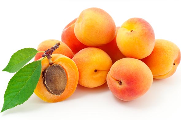  Vente D'abricots Et De Pasteques - fruits et légumes nous somme a la recherche d'achteurs serieux sur dubai  d'abricots frais et de pasteques en provenance de la tunisie--nous somme a votre entiere diposition por toute information, --cordialement --we looking for a seieus buyers from dubai  for apricot and watter melon from tunisia . --for any informat