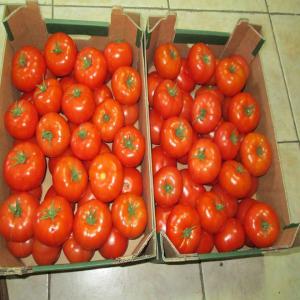  ¨tomate - fruits et légumes bonjour --cher clients a vendre--tomate calibre bb et bbb --prix de 6 kg  4.9 euro----contactez moi pour plus d'info 