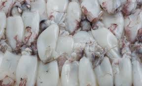  Poulpe Seche Pontia Bonito Anchois Sardine Export - poissons poisson congelé frais pour export -poulpe cypia(la seche) pontia bonito anchois sardine cabailla pour export.--stock disponible et fraicheur garantis.--livraison entre 2 et 3 semaine--prix dépend volume commandé. 50 t/ mois et  plus.