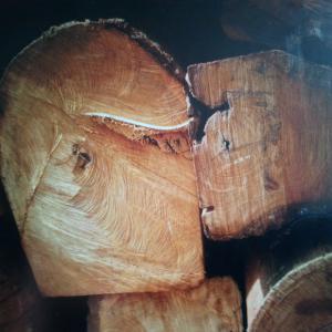  Buy High Quality Low Price Wood Here - bois charbon fibre dear customer, --we hereby want to let you know that we have different type of woods of high quality available to sell.--if this ad interests you, don't hesitate to contact us.--regards