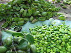 Roucou Etgrifonia - matiere vegetale nous recoltons et revendons du grifonia et roucou --nous sommes une coopérative qui récoltons les produits tropicaux pour les revendre . nous revendons entre autre du grifonia roucou voganga  la campagne 2015 viens de commencer alors contacter nous