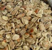  Irvengia Gabonesis (mangue Sauvage) - épices aromates bonjour--nous disposons de 16-- tonnes de irvengia gabonesis ou manque sauvage que nous mettons sur le marchï¿½.--pour tout intï¿½ressï¿½,  priï¿½re de nous contacter.--merci!