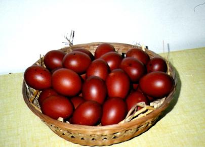  Oeufs, Poussins, Poulettes Marans Ncc - animaux vivants la poule aux &oelig;ufs d or- une irr&eacute;sistible poule &agrave; l'&oelig;uf extra-roux,  plac&eacute;e sous le feu des m&eacute;dias,  v&eacute;ritable star des &eacute;levages amateurs et familiaux,  elle conna&icirc;t un succ&egrave;s consid&eacute;rable depuis 1995. de plus elle convient aux pa