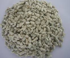  Vente Des Grains De Coton - fruits secs et graines grillées nous disposons dans notre entrepot une importante quantité de 40000 tonnes de grains de coton et cherchons client. contacter nous. pas place pour les plaisantins.