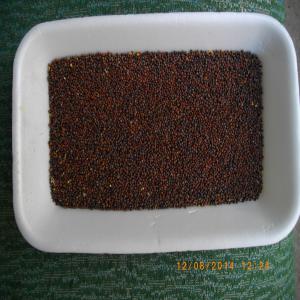  La Moutarde Noire - épices aromates fabricant moutarde noire et d'autres cultures de l'ukraine.les produits peuvent etre livrés par des camions à 22 tonnes dans votre point de livraison dans les conditions dap (incoterms 2010) spécialisé dans le type de konteynepax doux mkp (big beg) d'une capacité d
