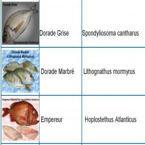  Poissons Naturels, Poissons Exotiques - poissons nous faisons dans le poissons aussi----poissons entiers ---chinchard--maquereaux--sardines--dorades--rouget barbet--capitaines--machoirons--tilapia--poisson-chat (silure)--empereur--m&eacute;rou--barracuda----darnes ---darnes de capitaine--darnes de machoiron--darnes de capitaines--darnes de tilapia