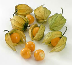  Physalis Frescos - fruits et légumes vendo 2 toneladas  de fysalis  frescos 4.000 euros a tonelada--em portugal--manuel pires 