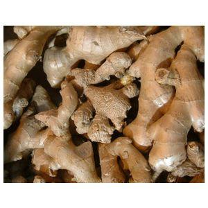  Vente De Gingembre Sur Le Maroc. - épices aromates nous recherchons des clients potentiels sur le maroc ou zone euro pour la vente de gingembre.--prendre contact via mail pour plus d'informations.
