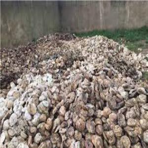  Stock De Latex Disponible - hygiene entretien --nous disposons de fond de tasse brut destines a l exportation et sommes a la recherche de partenaires  pouvant soit acheter le brut soit  mettre en  place une unite de transformation pour la première transformation;